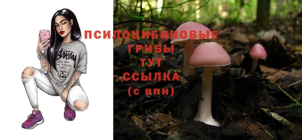 винт Краснослободск