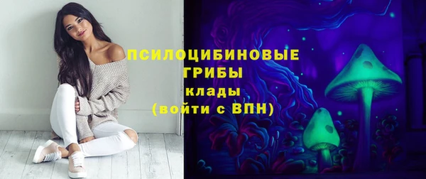 винт Краснослободск